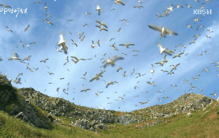 2.gif